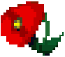 hmbtn magicredflower