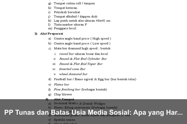 PP Tunas dan Batas Usia Media Sosial: Apa yang Harus Disiapkan Orang Tua di Indonesia? PP Tunas dan Batas Usia Media Sosial: Apa yang Harus Disiapkan Orang Tua di Indonesia?