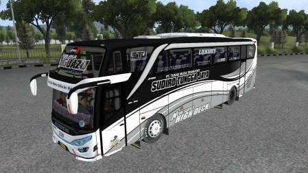Mod Bussid STJ Iguazu Hino SHD
