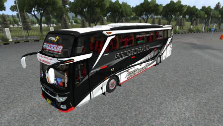 Mod Bus STJ JB3+ Scania Non Facelift