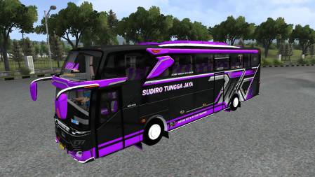 Mod Bus STJ Viola Hino RK JB3+